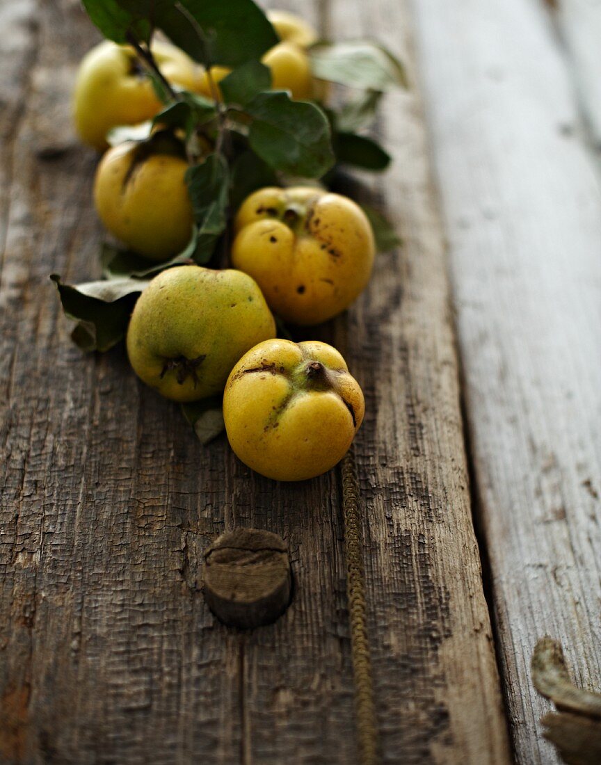 Fresh quinces on a wooden surface