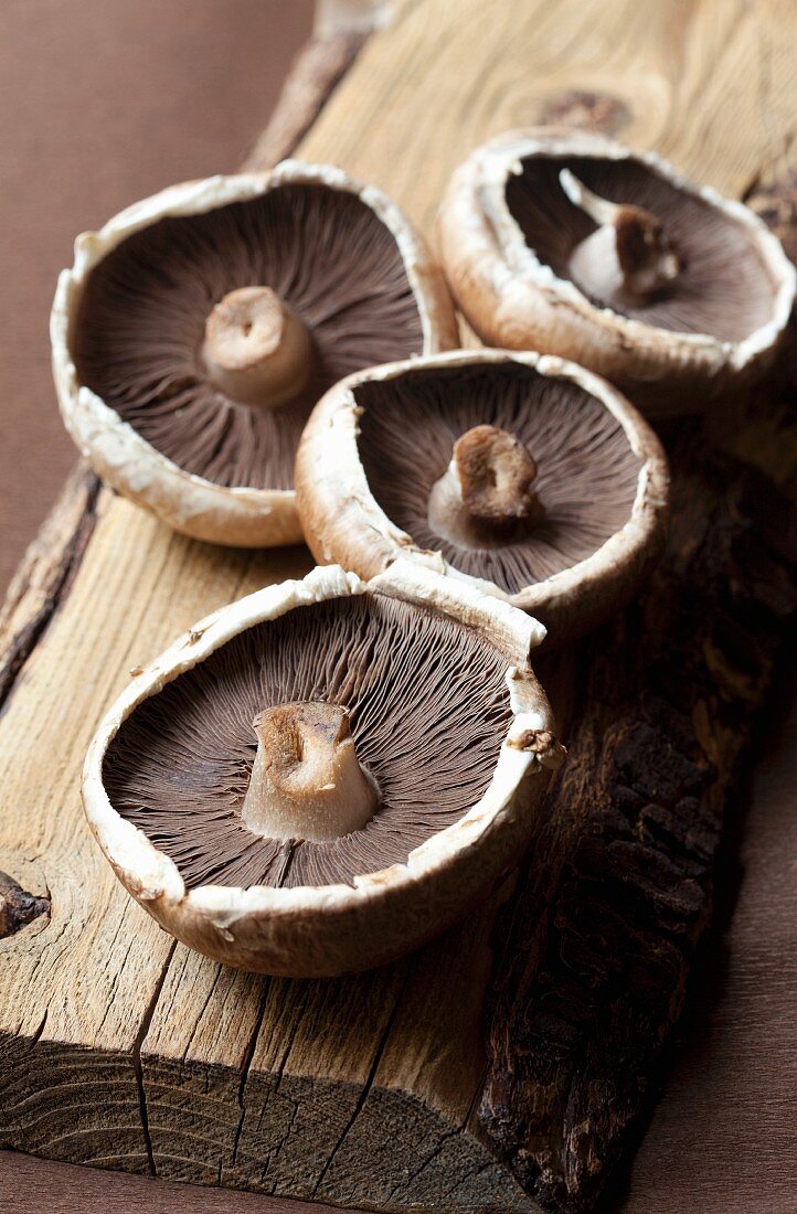 Brown mushrooms on a piece of wood