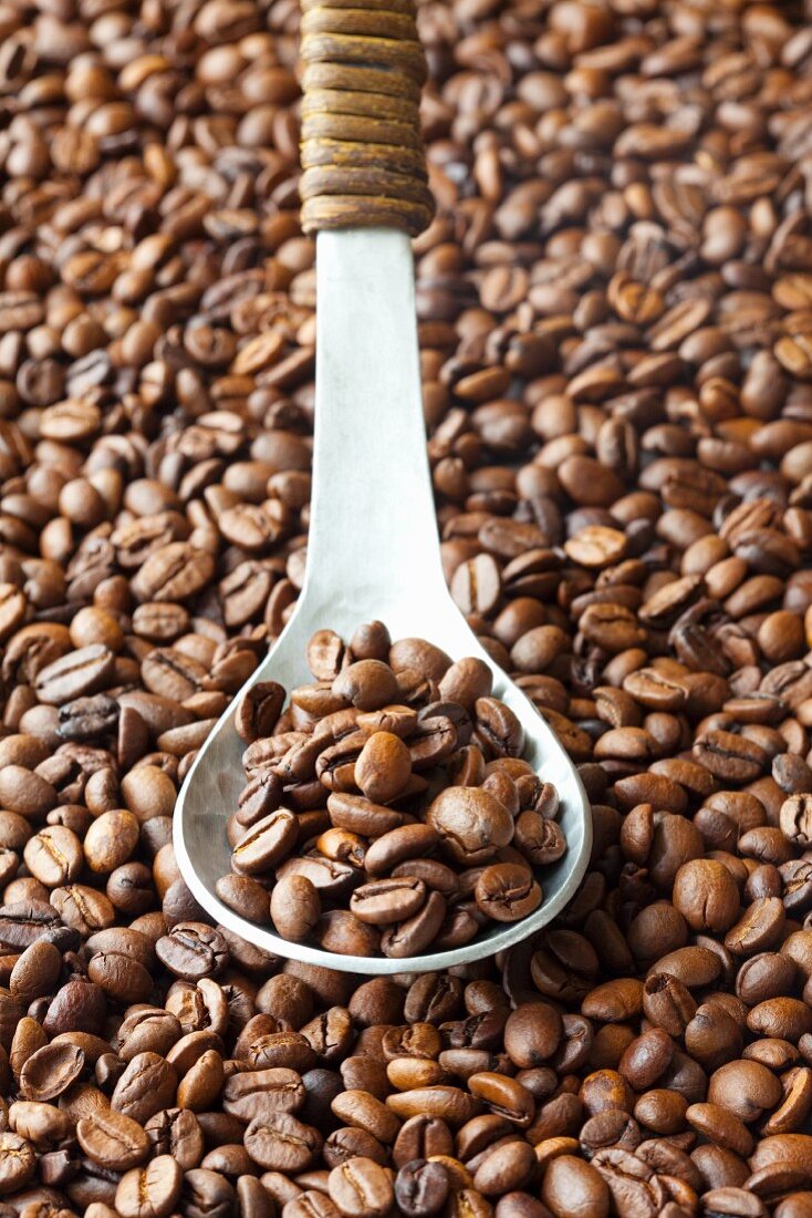 Coffee beans with a spoon