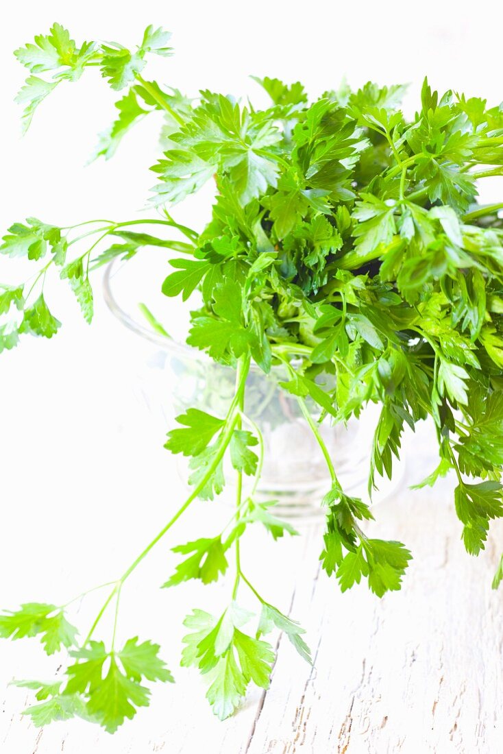 Fresh, flat leaf parsley in a glass of water