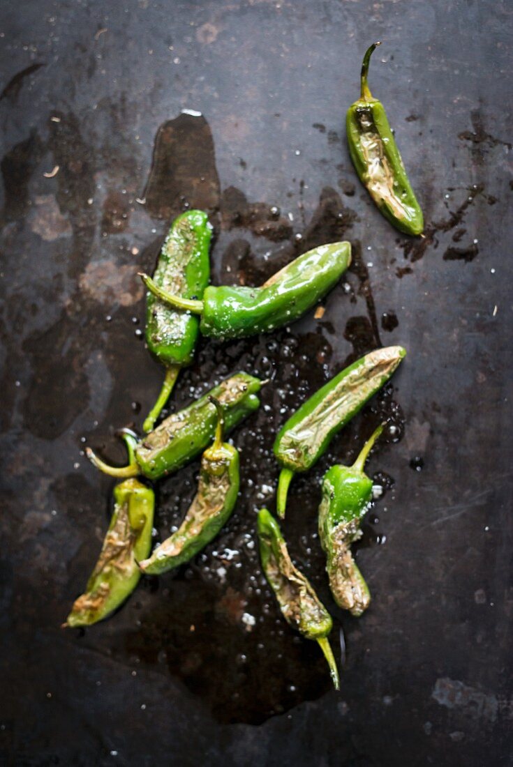 Grilled pimientos de padron