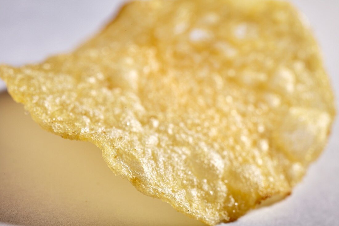 A single potato chip (close-up)