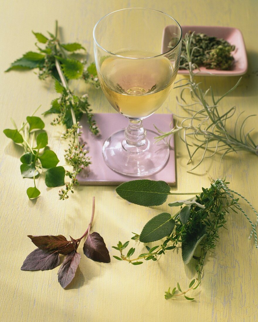 Various herbs for drinks
