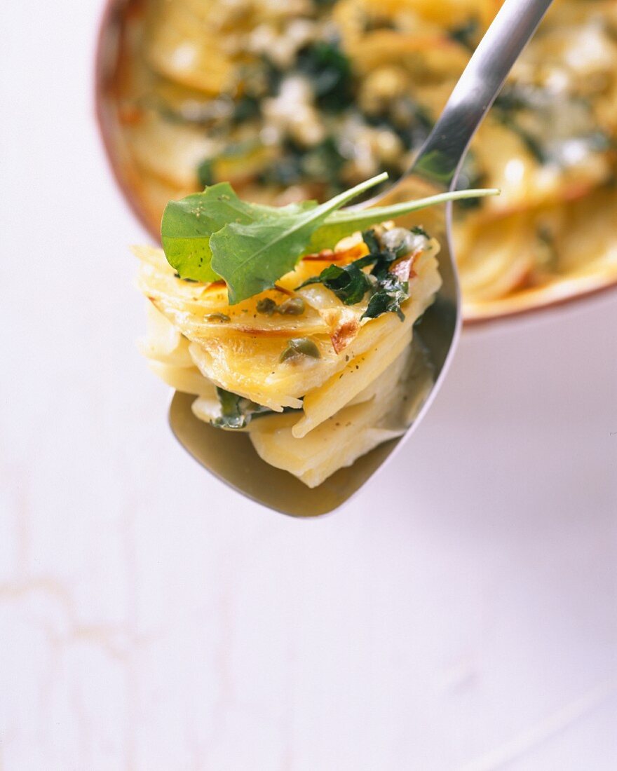 Potato and dandelion leaf gratin on a spoon above a baking dish
