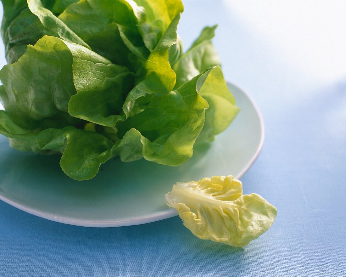 A lettuce and a single leaf