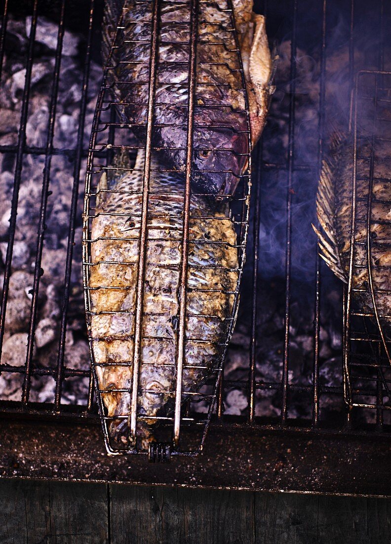 Gegrillte Doraden auf dem Holzkohlengrill