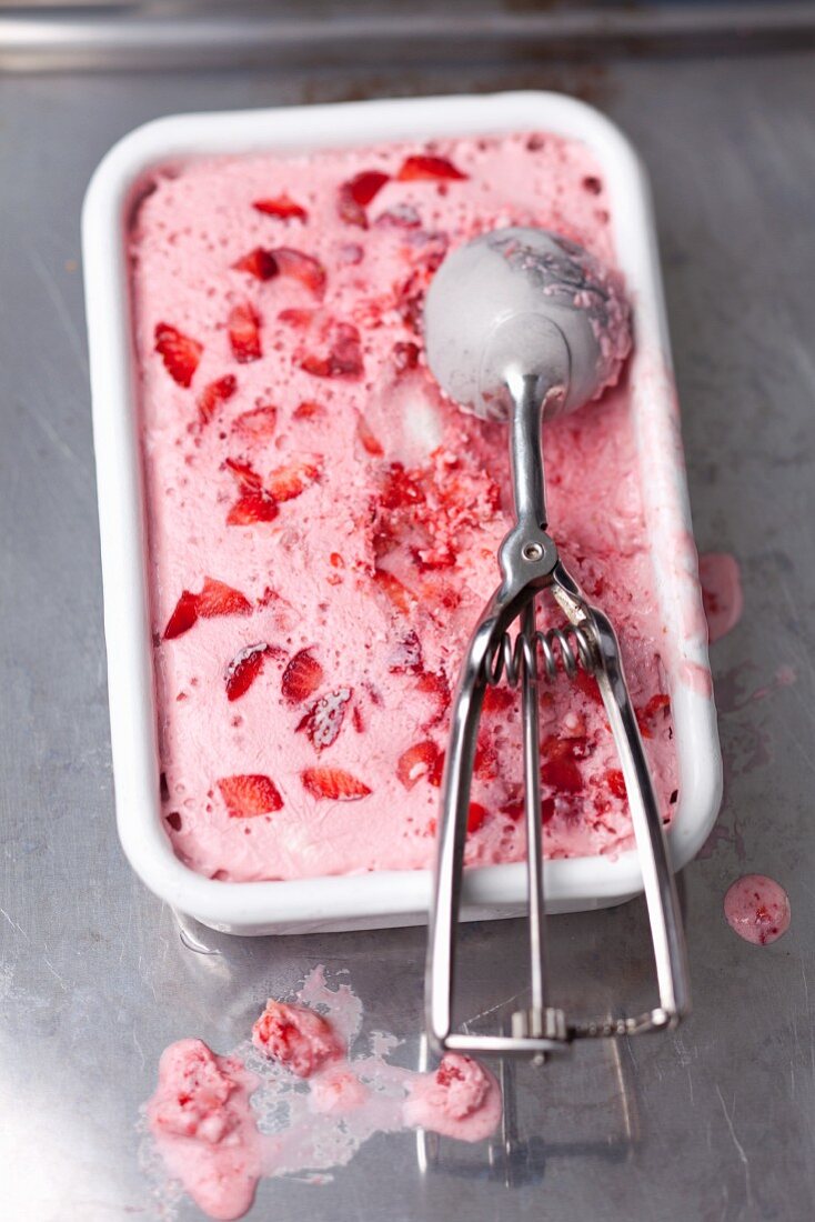 Frozen Berry Yogurt