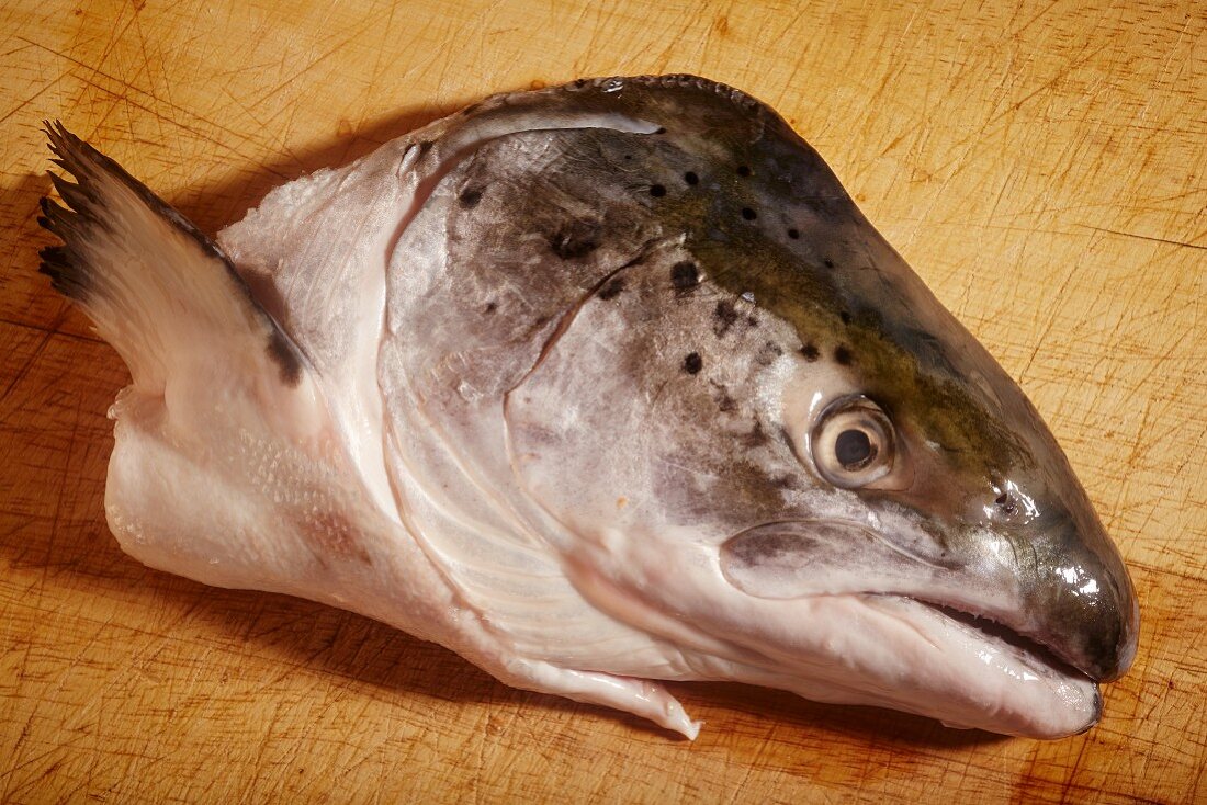 Salmon head