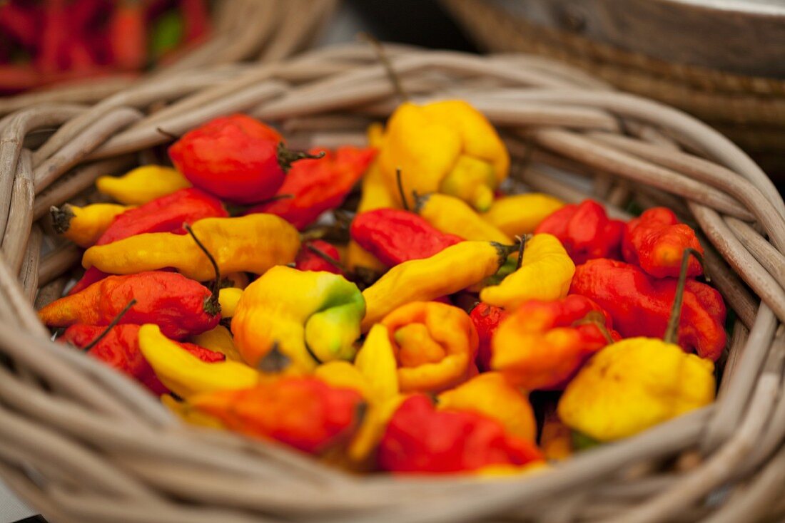 Fresh chillis in a basket