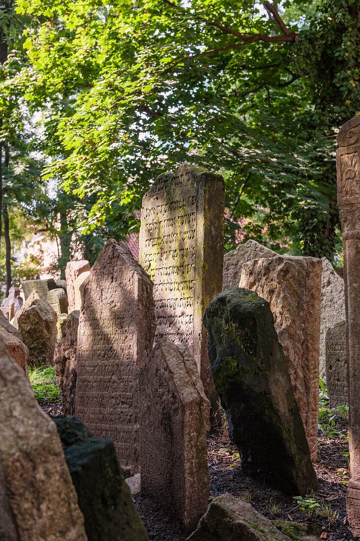 The Jewish cemetery in Prague is a place of calm