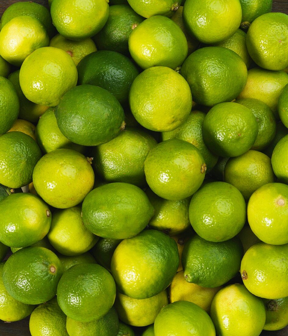 Limes seen from above