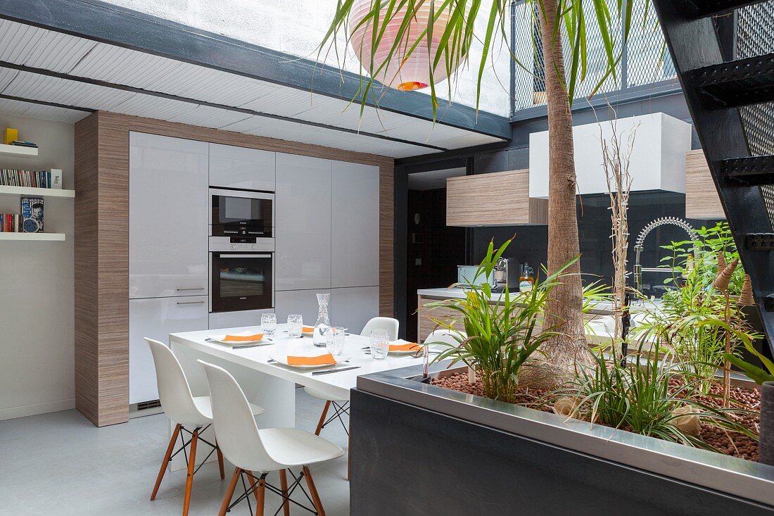 Open-plan fitted kitchen with dining area and house plants in foreground