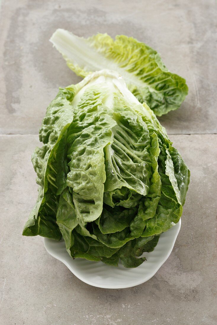 A lettuce on a white plate
