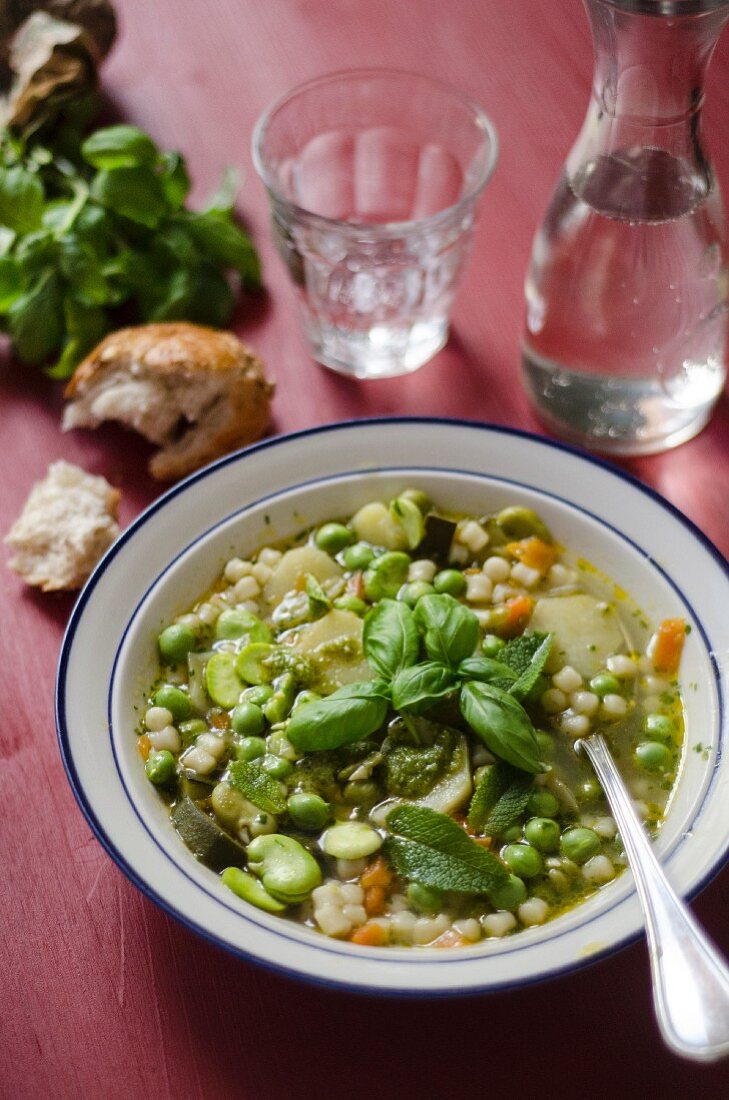 Minestrone primavera (Frühlings-Gemüsesuppe, Italien)