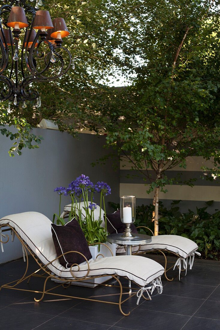 Agapanthus flowers between vintage-style loungers in front of terrace wall