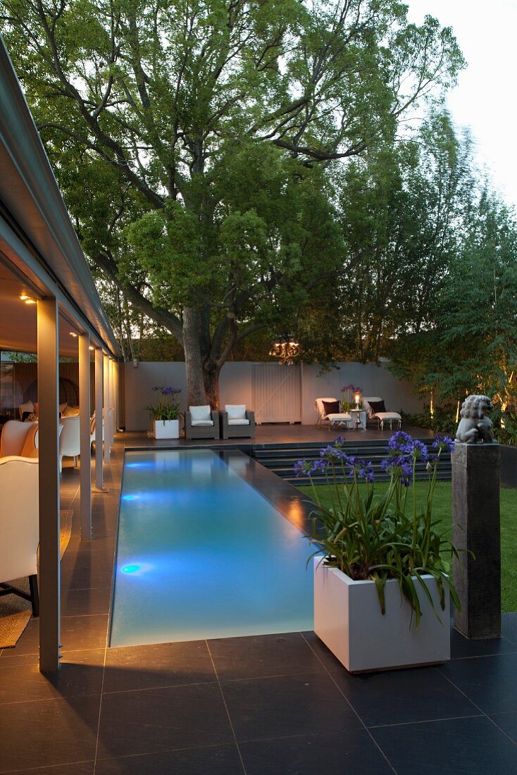 Pool with underwater lights next to roofed terrace