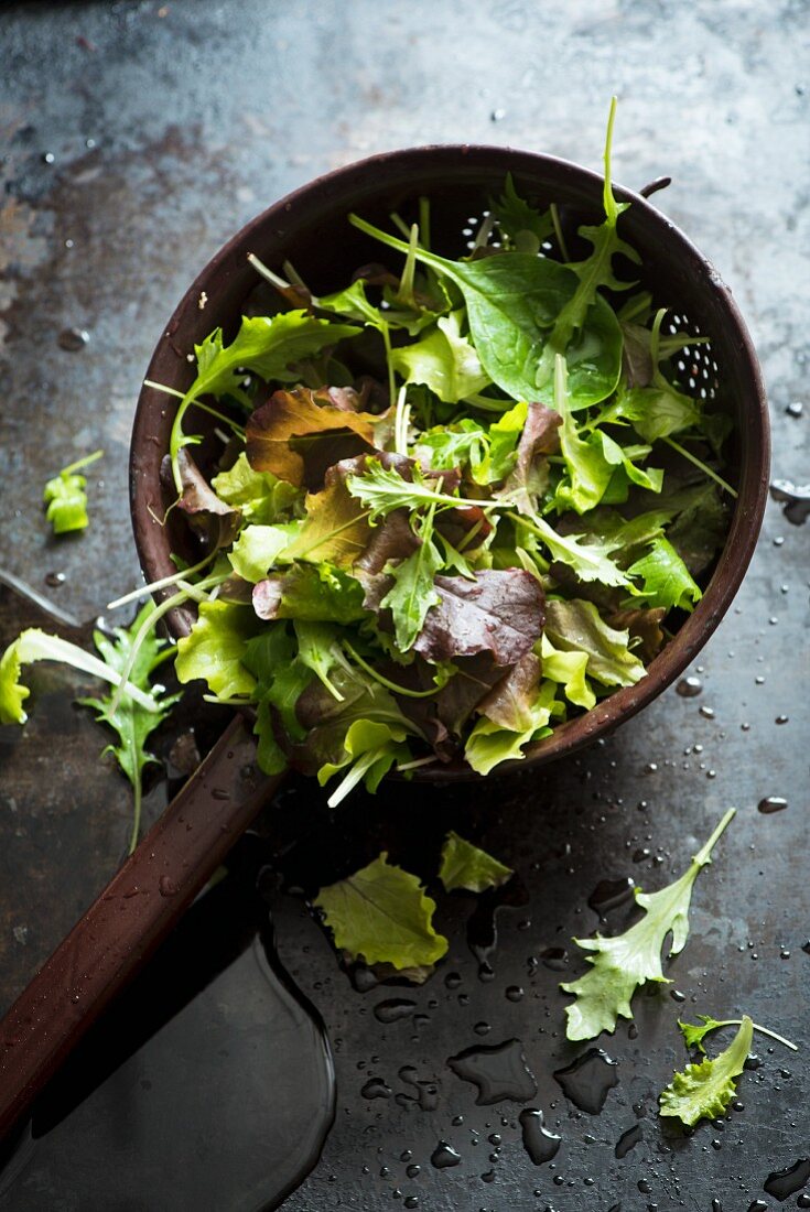 Lettuce in a sieve