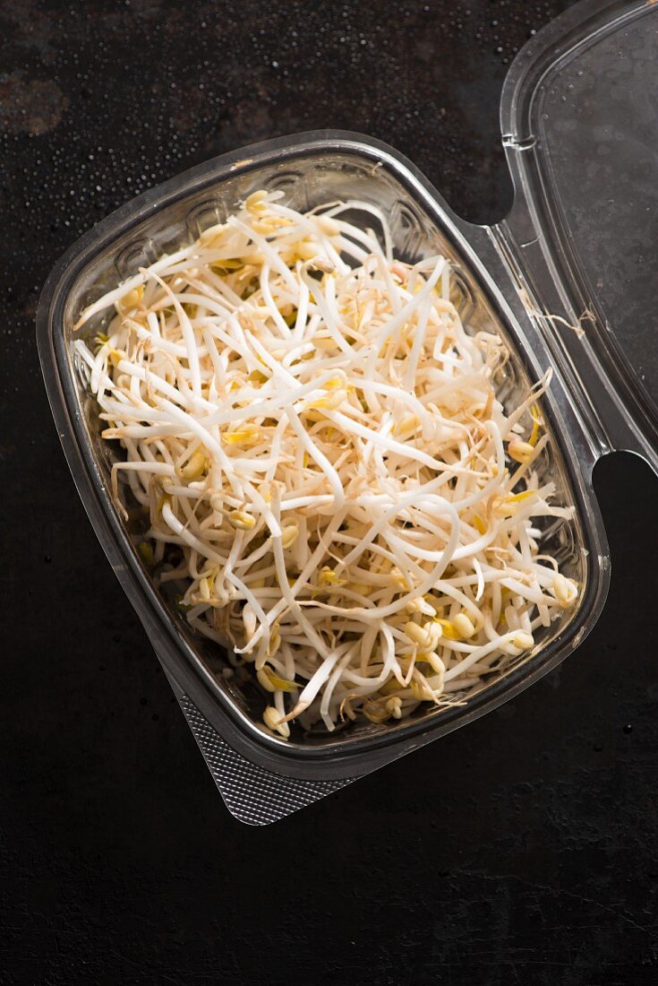 Soya sprouts in a plastic container