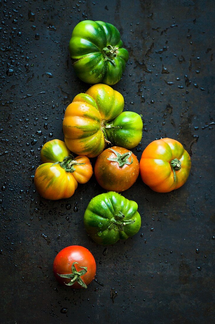 Various tomatoes on a metal surface