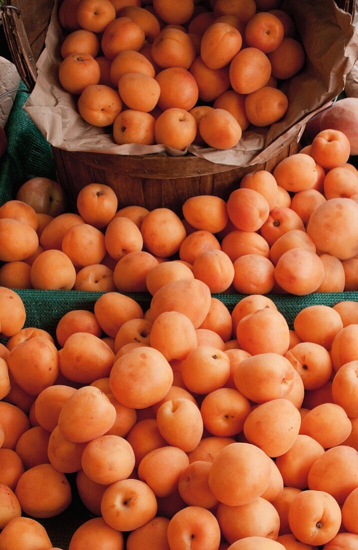 Aprikosen auf einem Bauernmarkt in Kalifornien