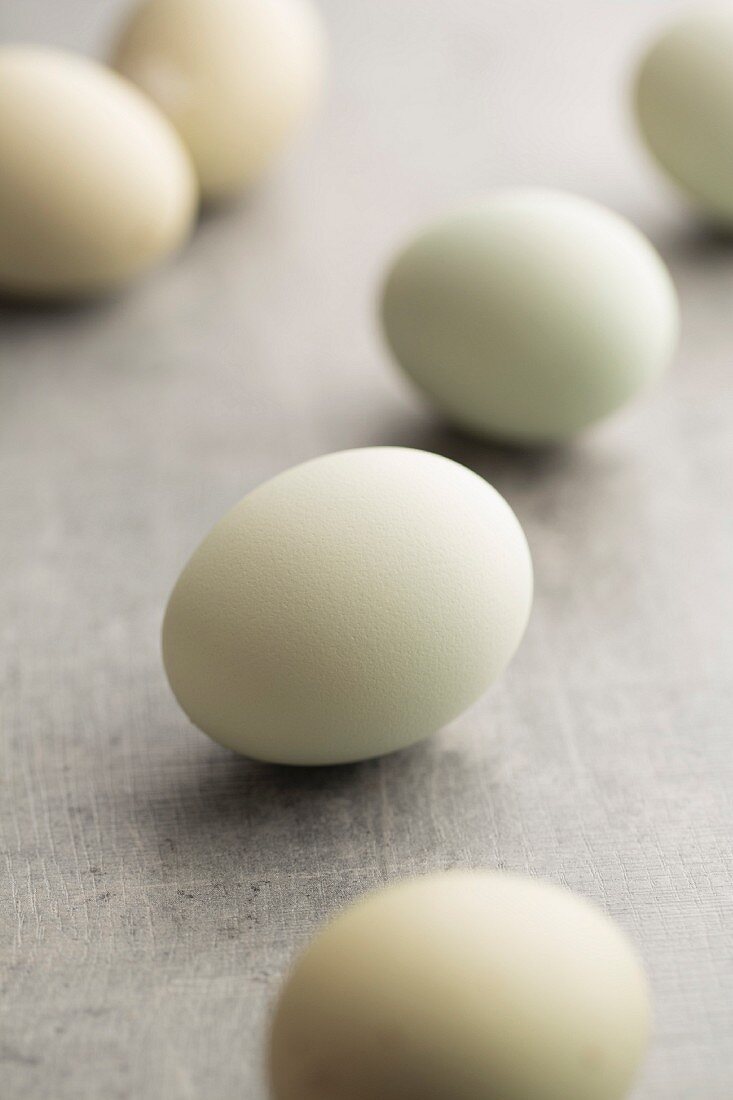 Hen's eggs with green shells