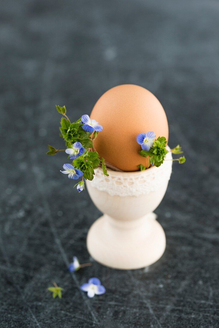 An organic egg in an egg cup with speedwell