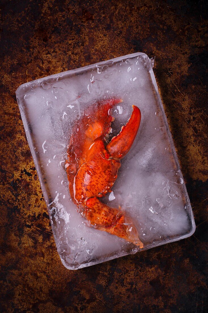 Cooked lobster claws in a container of ice