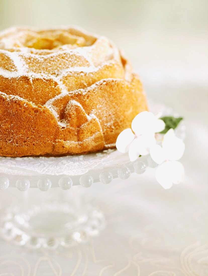 Vanilla Bundt cake with icing sugar on a glass cake stand with spring flowers