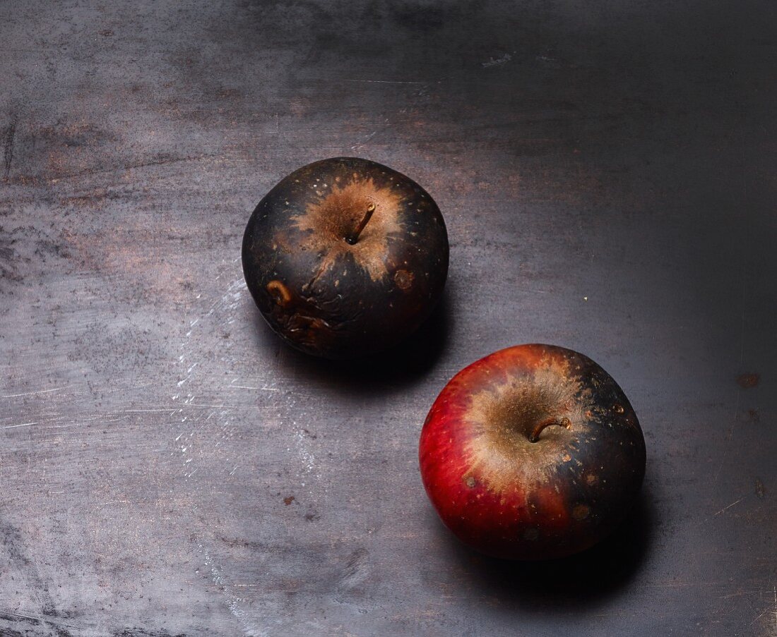 Two mouldy apples on a black baking tray