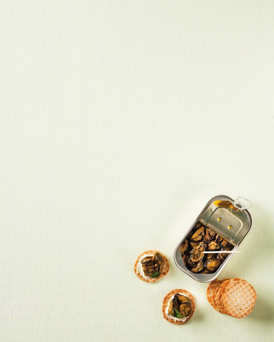 Tinned mussels with crackers