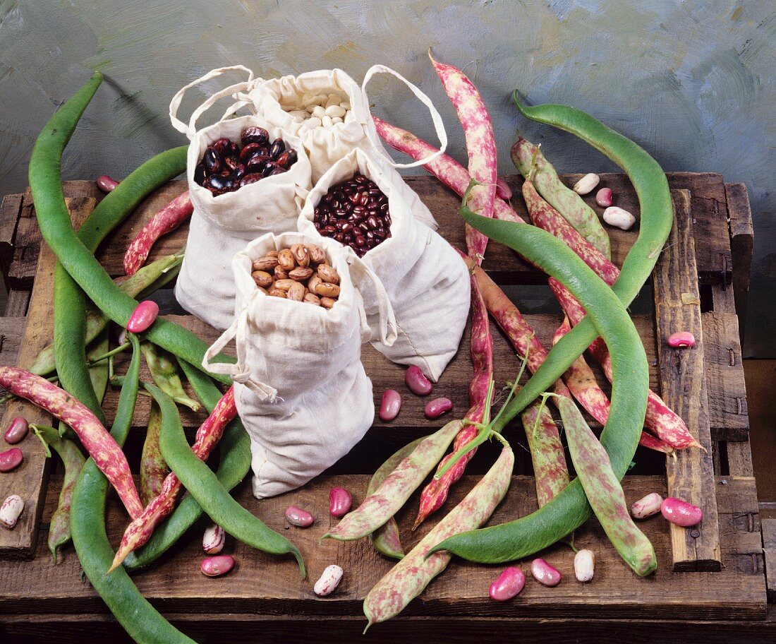 An arrangement of various beans