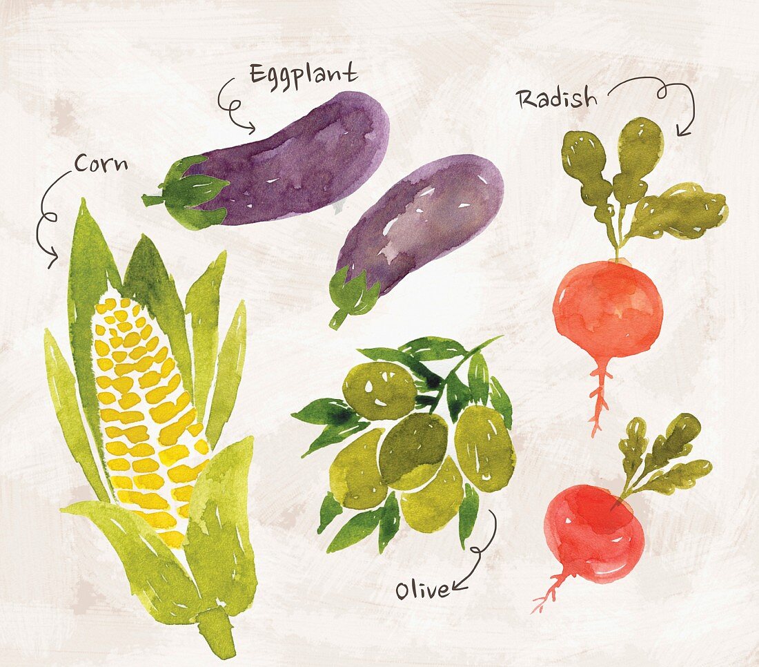 Gemüsestillleben mit Mais, Auberginen, Radieschen & Oliven (Illustration)