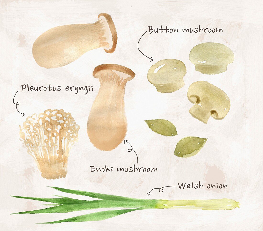 Stillleben mit Frühlingszwiebeln & verschiedenen Pilzsorten (Illustration)