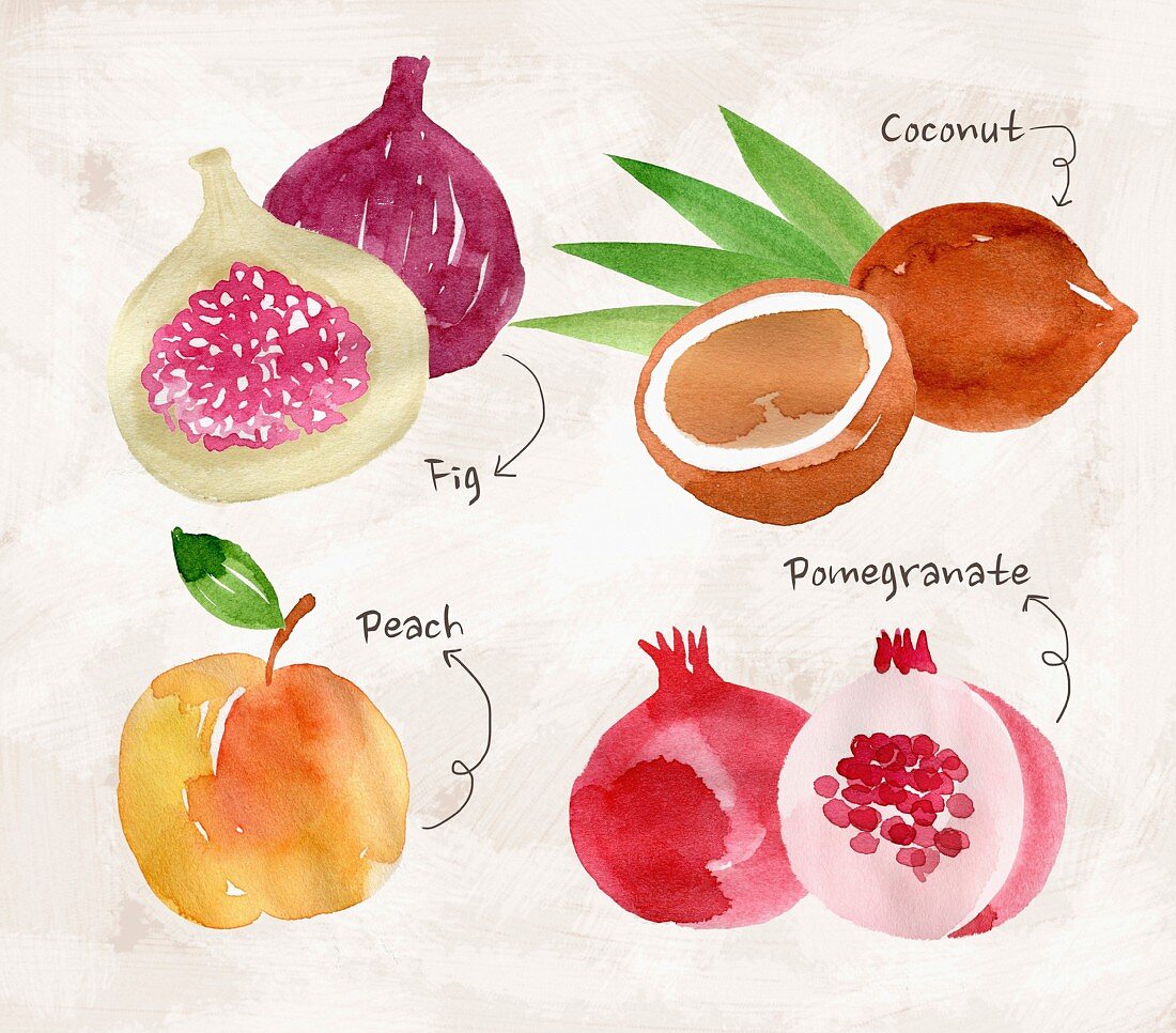 An arrangement of fruit with figs, coconut, peaches and pomegranate (illustration)