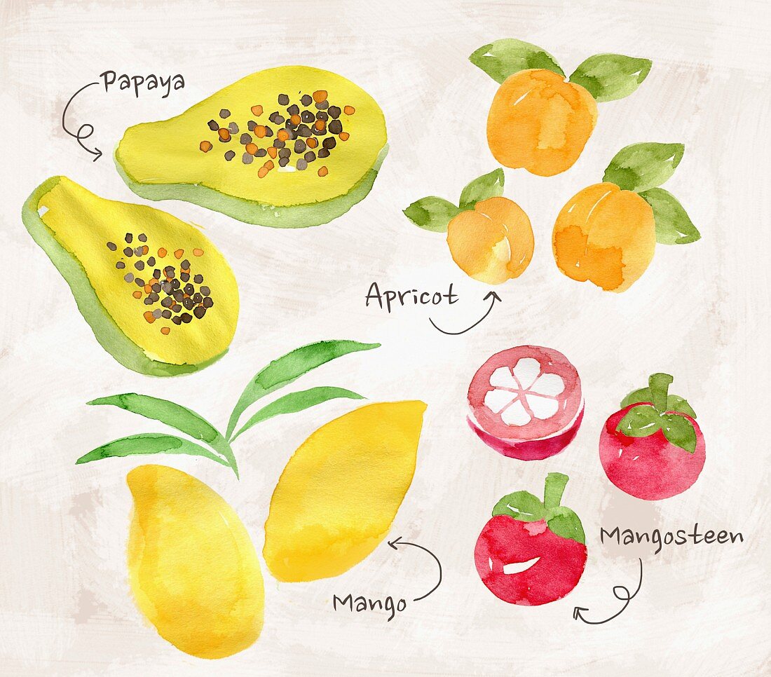 An arrangement of fruit featuring papaya, apricots, mango and mangosteens (illustration)