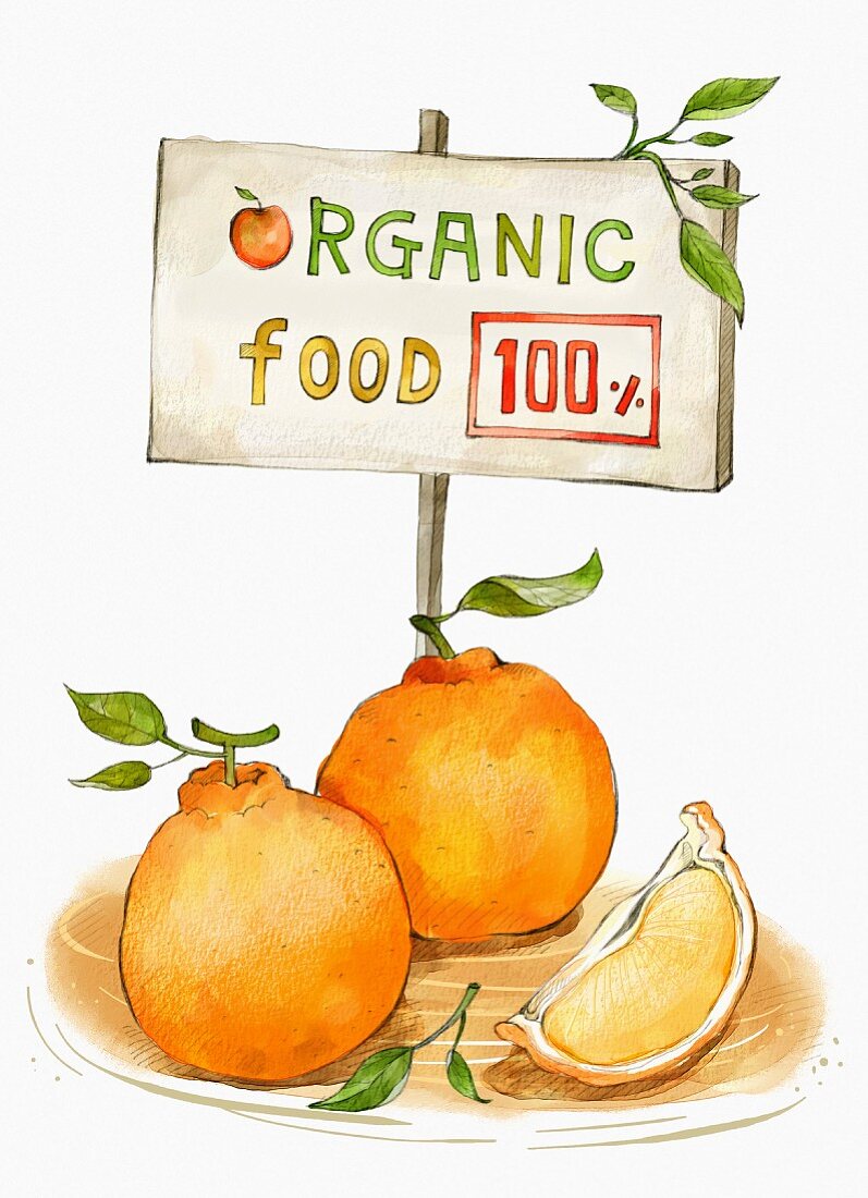 Orangen dahinter Schild mit der Aufschrift Organic Food (Illustration)