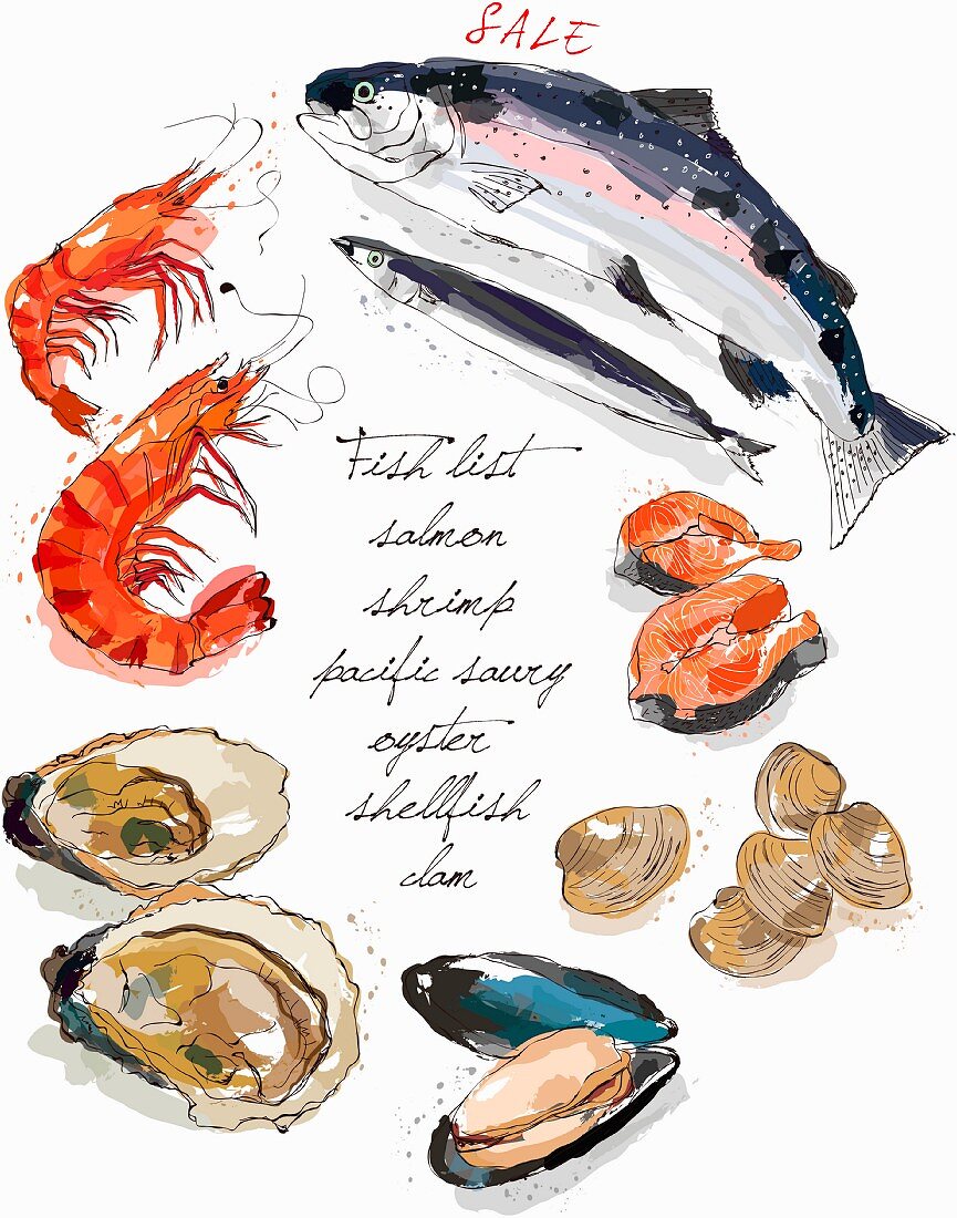 Fish and seafood (illustration)