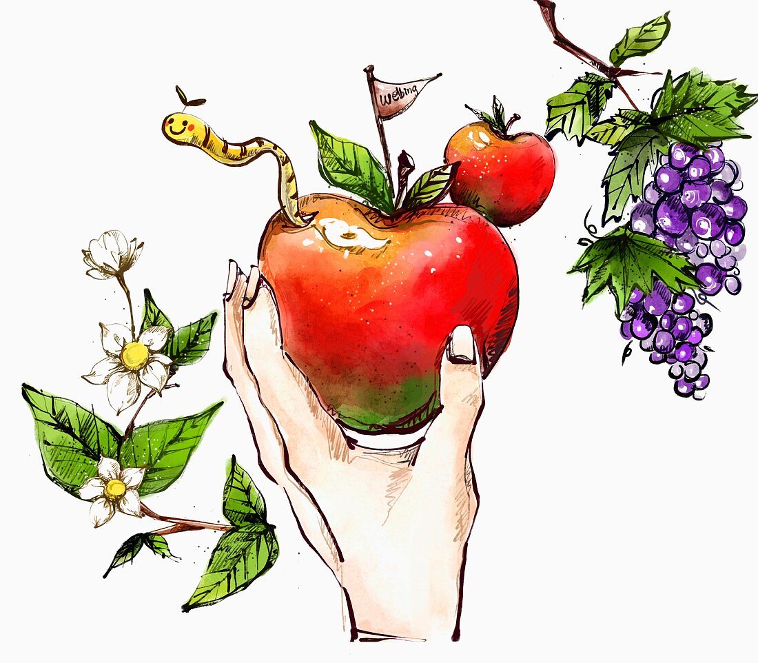 A hand holding an apple (illustration)