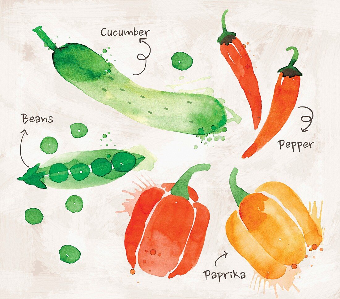 An arrangement of vegetables featuring cucumber, peas, peppers and peperoni (illustration)
