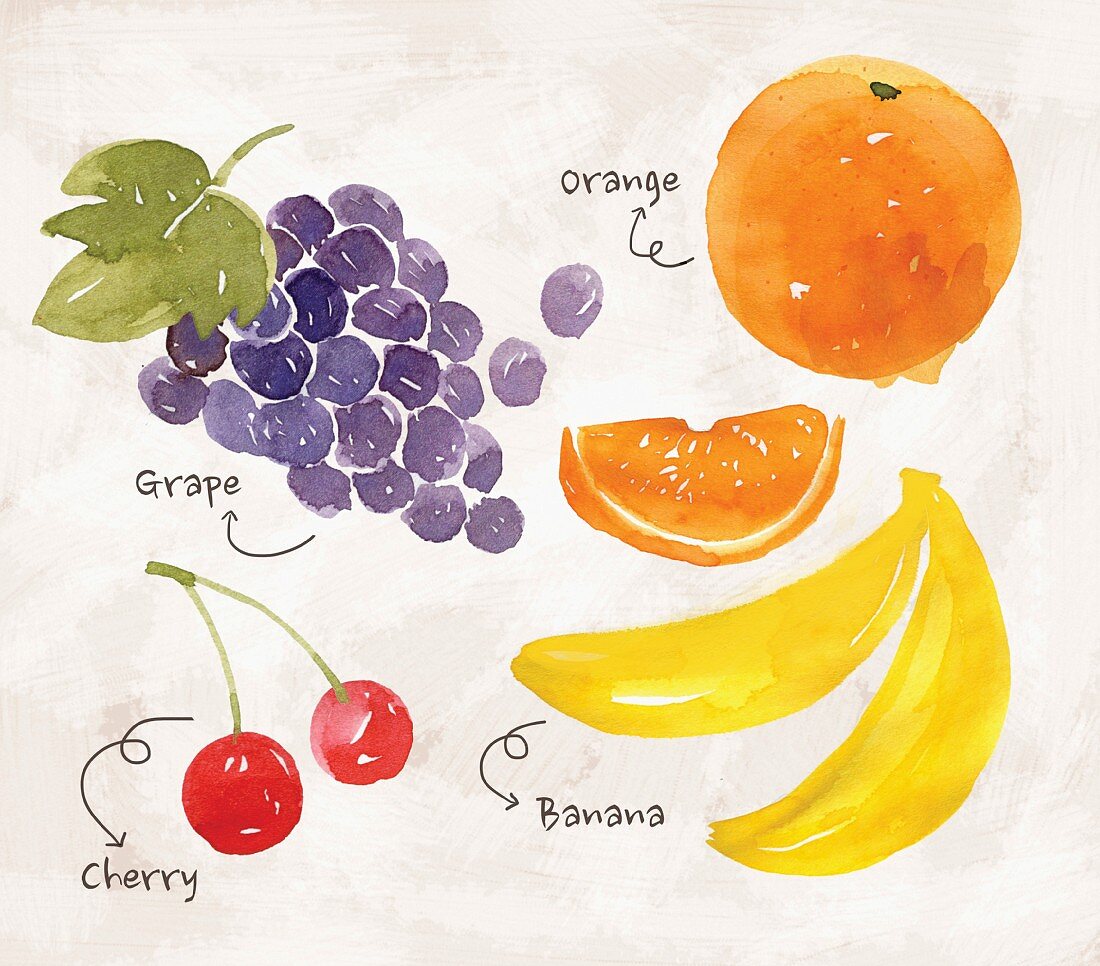 An arrangement of fruit with grapes, oranges, cherries and bananas (illustration)