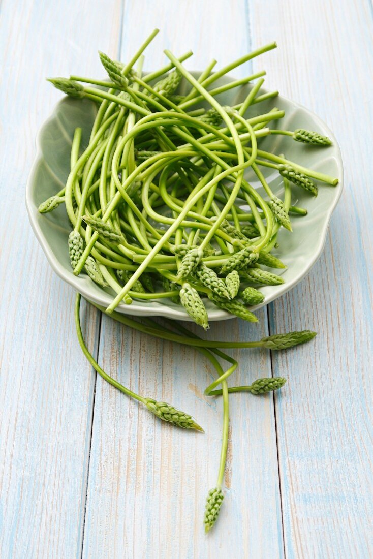 A bowl of wild asparagus