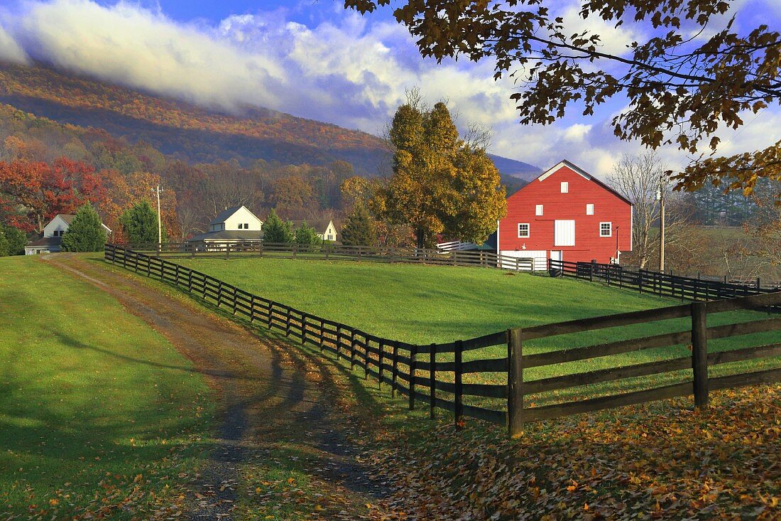 View across fenced meadow of Falu-red house in mountainous landscape