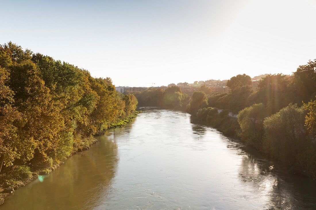 Tiber beim Künstlerviertel Testaccio, Rom