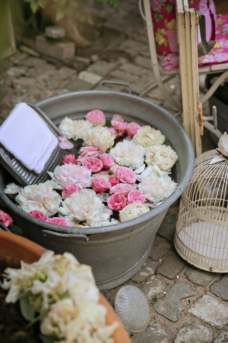 Zinkwanne mit englischen Rosen und Pfingstrosen