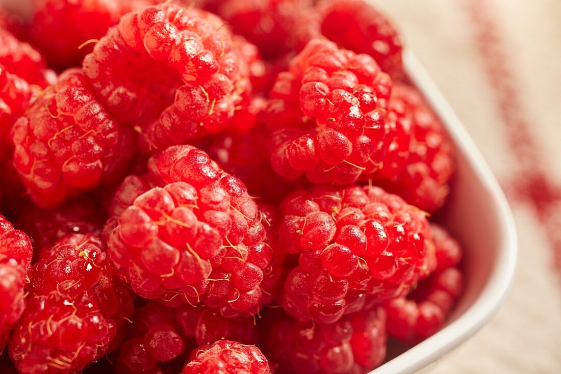 A bowl of red raspberries (close-up)