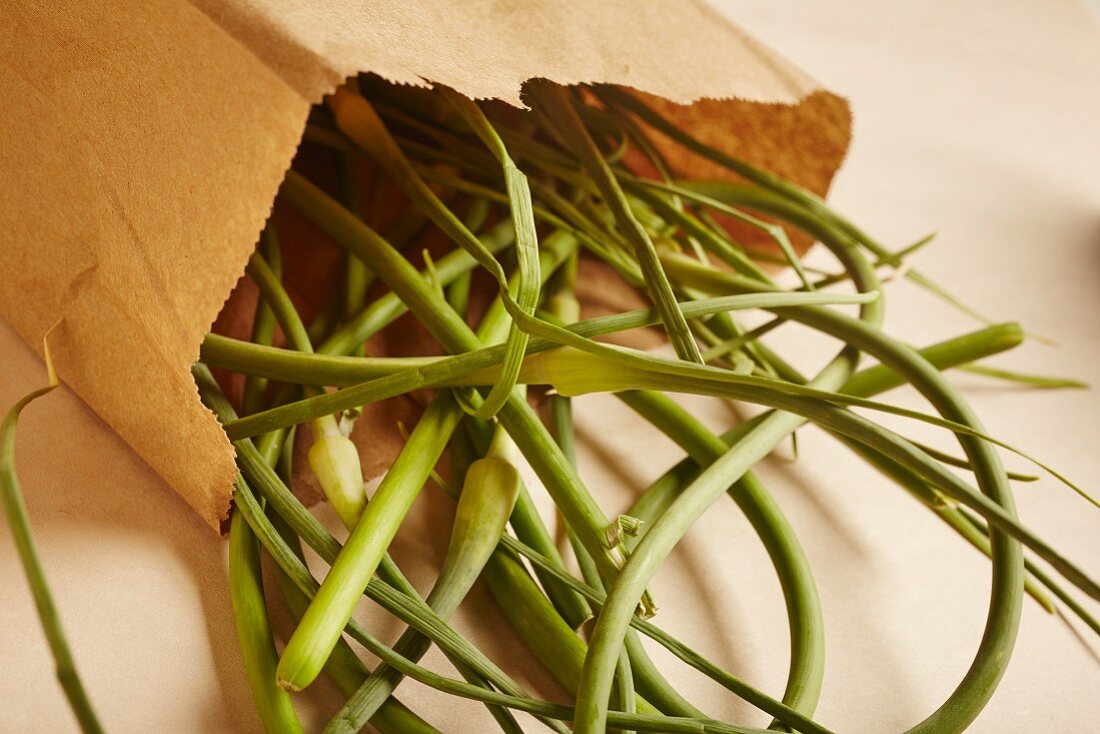 Organic garlic stems in a brown paper bag