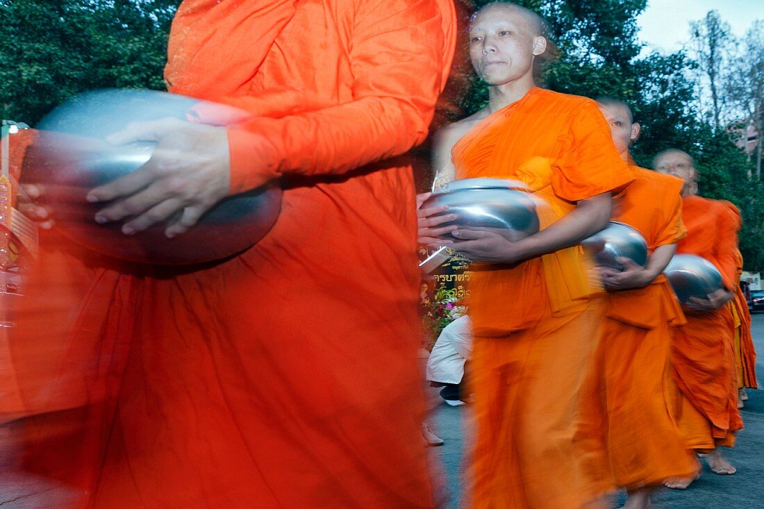Almosen sammelnde Mönche in der Morgendämmerung auf dem Doi Suthep Berg, Chiang Mai, Thailand