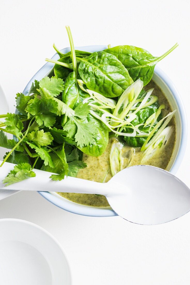 Brokkolisuppe mit Spinat und Koriandergrün (Thailand)