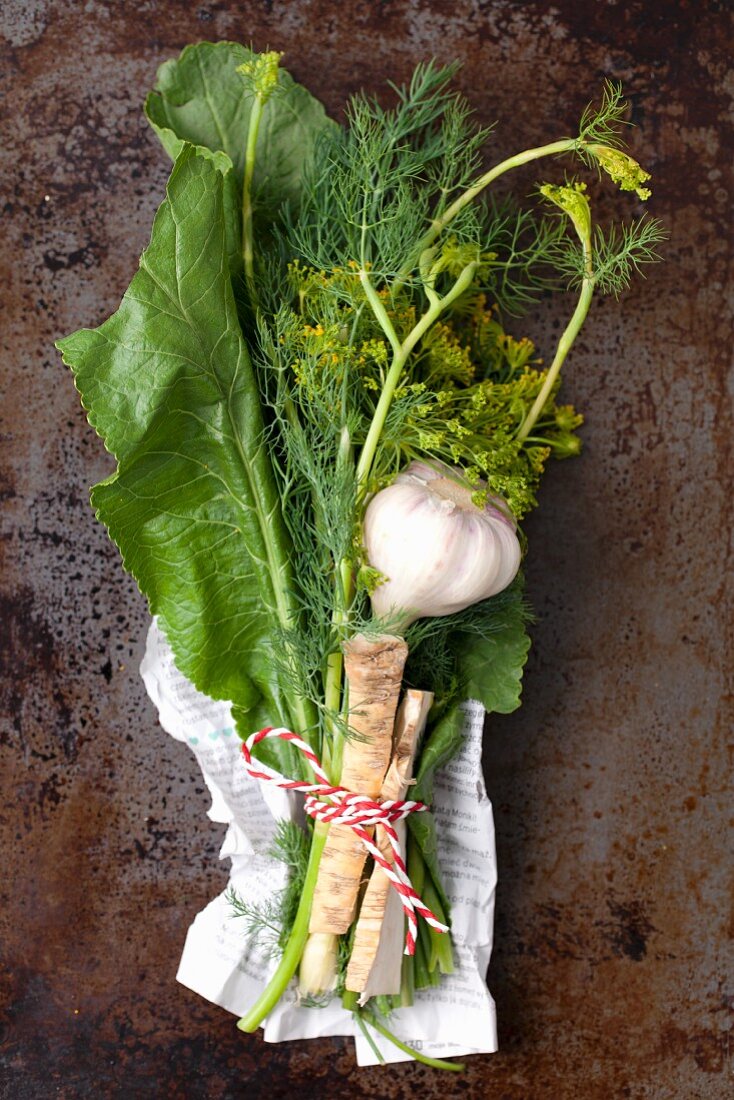 Zutaten für saure Gurken: Meerrettichwurzel und Blätter, Knoblauch, Dill