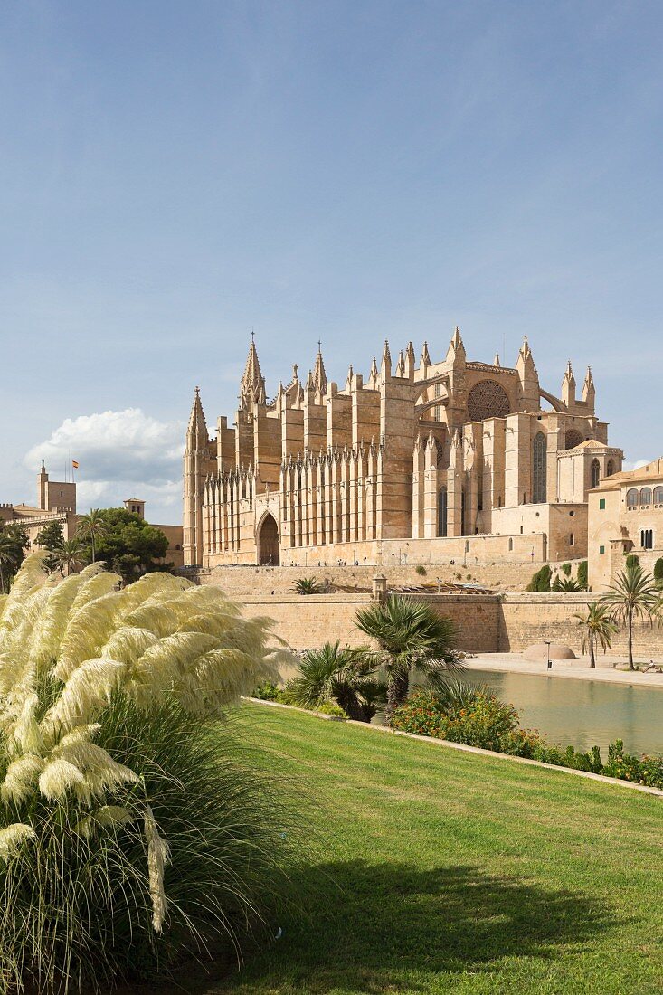 The La Seu Cathedral in Palma de Majorca